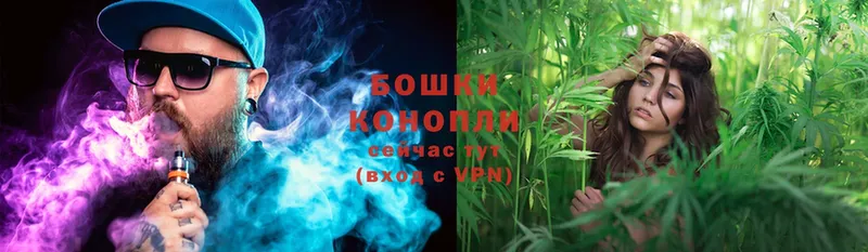 Шишки марихуана White Widow  продажа наркотиков  Вилюйск 